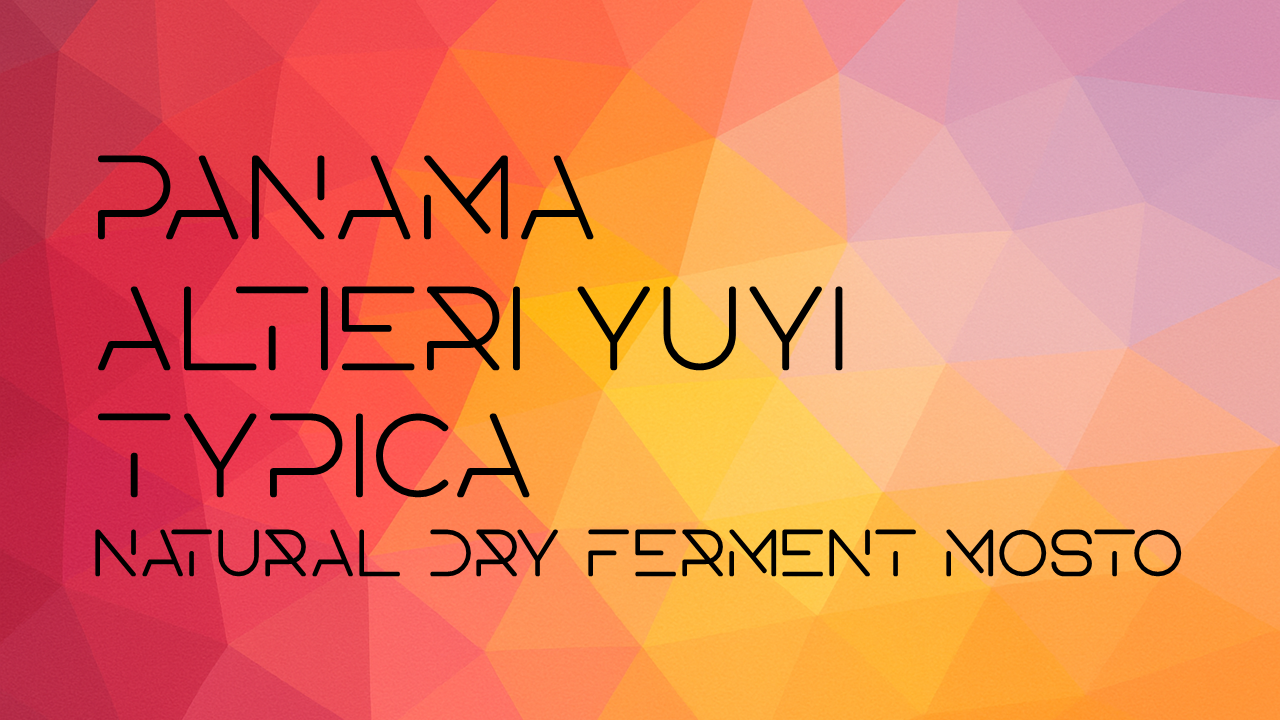 【10月末頃発送予定】Panama Altieri Yuyi Typica Natural Dry Ferment Mosto