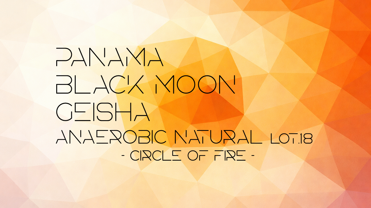 【予約注文】Panama Black Moon Geisha Anaerobic Natural Lot.18 Circle of Fire