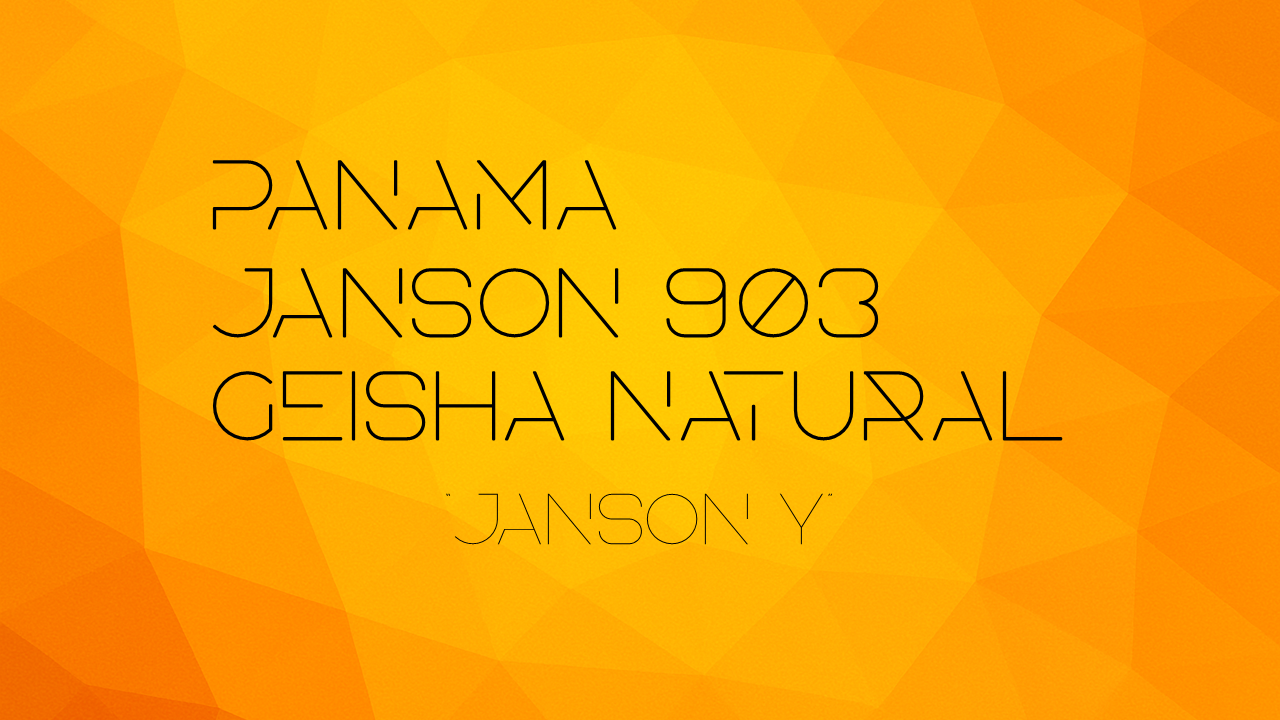 Panama Janson 903 Geisha Natural ”Janson Y”