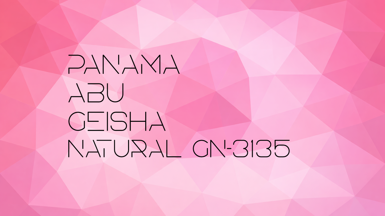 Panama Abu Geisha Natural GN-3135