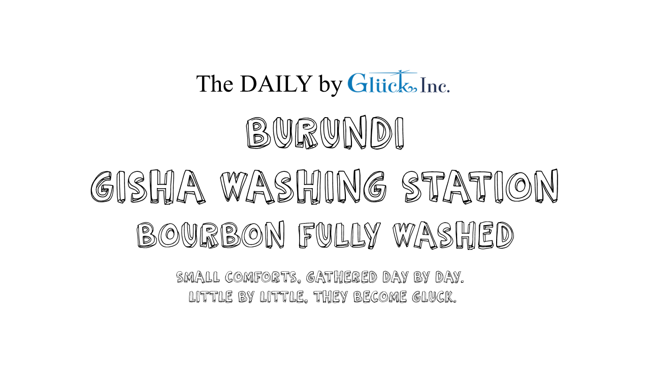 【The DAILY】Burundi Gisha WS Bourbon Fully Washed