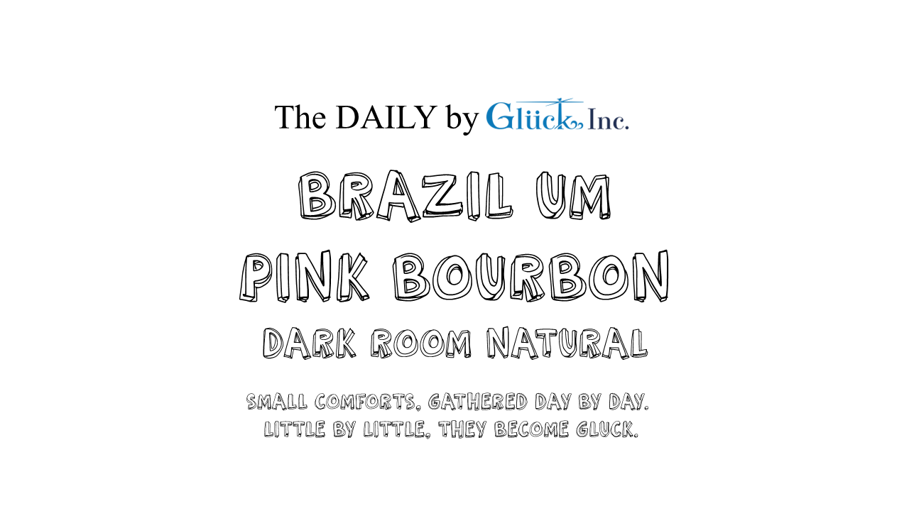 【数量限定】【The DAILY】Brazil Um Competition Series Pink Bourbon Dark Room Natural