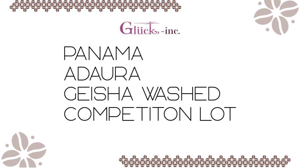 【即配送】Panama Adaura Geisha Washed Competition Lot