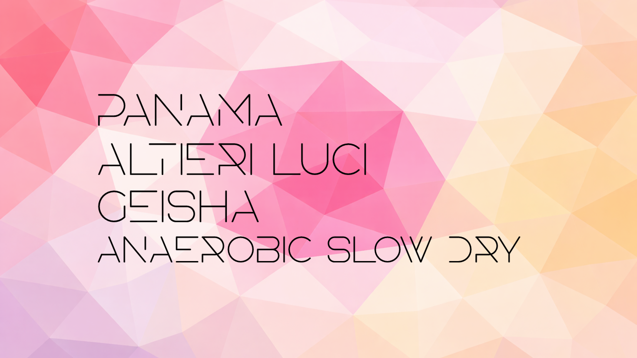 Panama Altieri Luci Geisha Anaerobic Slow Dry
