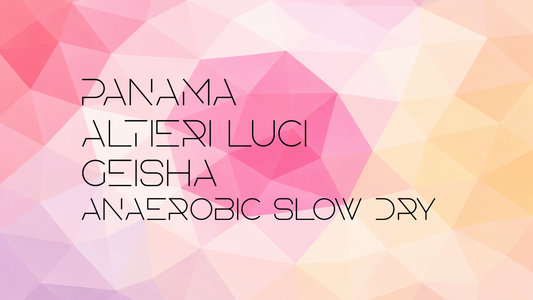 Panama Altieri Luci Geisha Anaerobic Slow Dry