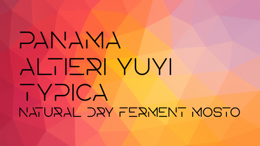 【10月末頃発送予定】Panama Altieri Yuyi Typica Natural Dry Ferment Mosto