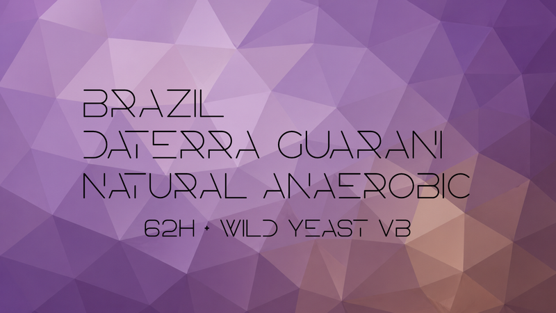 【W6A焙煎】【The Dubai Coffee Auction落札ロット】DMCC Brazil Daterra Guarani Natural Anaerobic 62H + Wild Yeast Vb