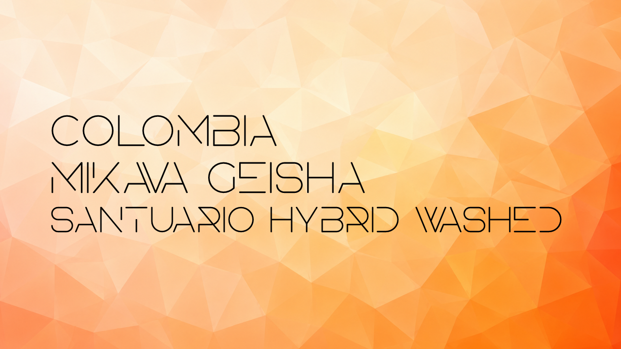 【数量限定】Colombia MIKAVA Gesha Santuario Hybrid Washed 453