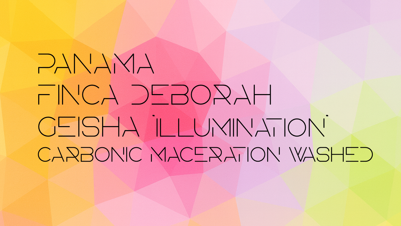 【予約注文】Panama Finca Deborah Geisha Illumination Carbonic Maceration Washed 25Crop