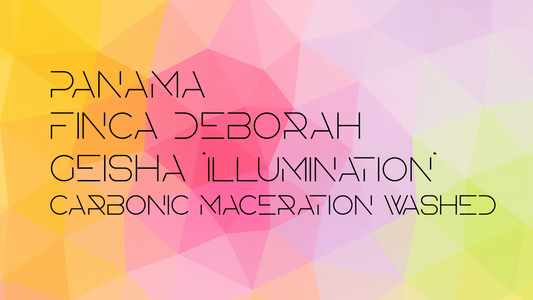 【予約注文】Panama Finca Deborah Geisha Illumination Carbonic Maceration Washed 25Crop
