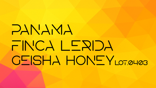 Panama Finca Lerida Geisha Honey Lot.0403