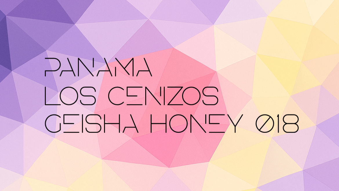 Panama Los Cenizos Geisha Honey 018