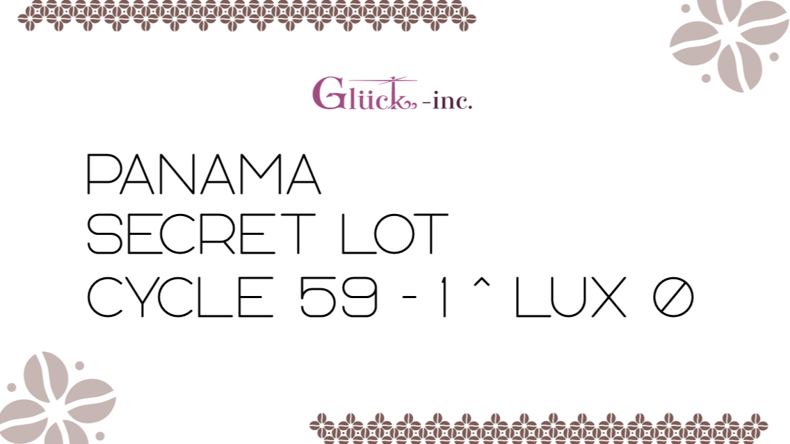 【予約注文】Panama GW Secret Lot