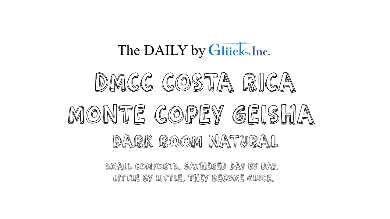 【The DAILY】DMCC Costa Rica Monte Copey Geisha Dark Room Natural